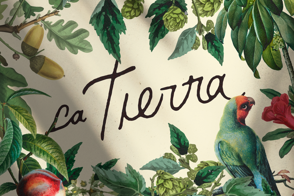Terroir · identidade visual para vinhos personalizados